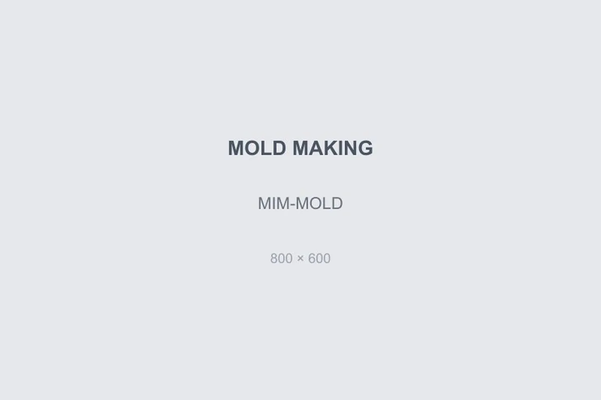 Metal Injection Molding (MIM)